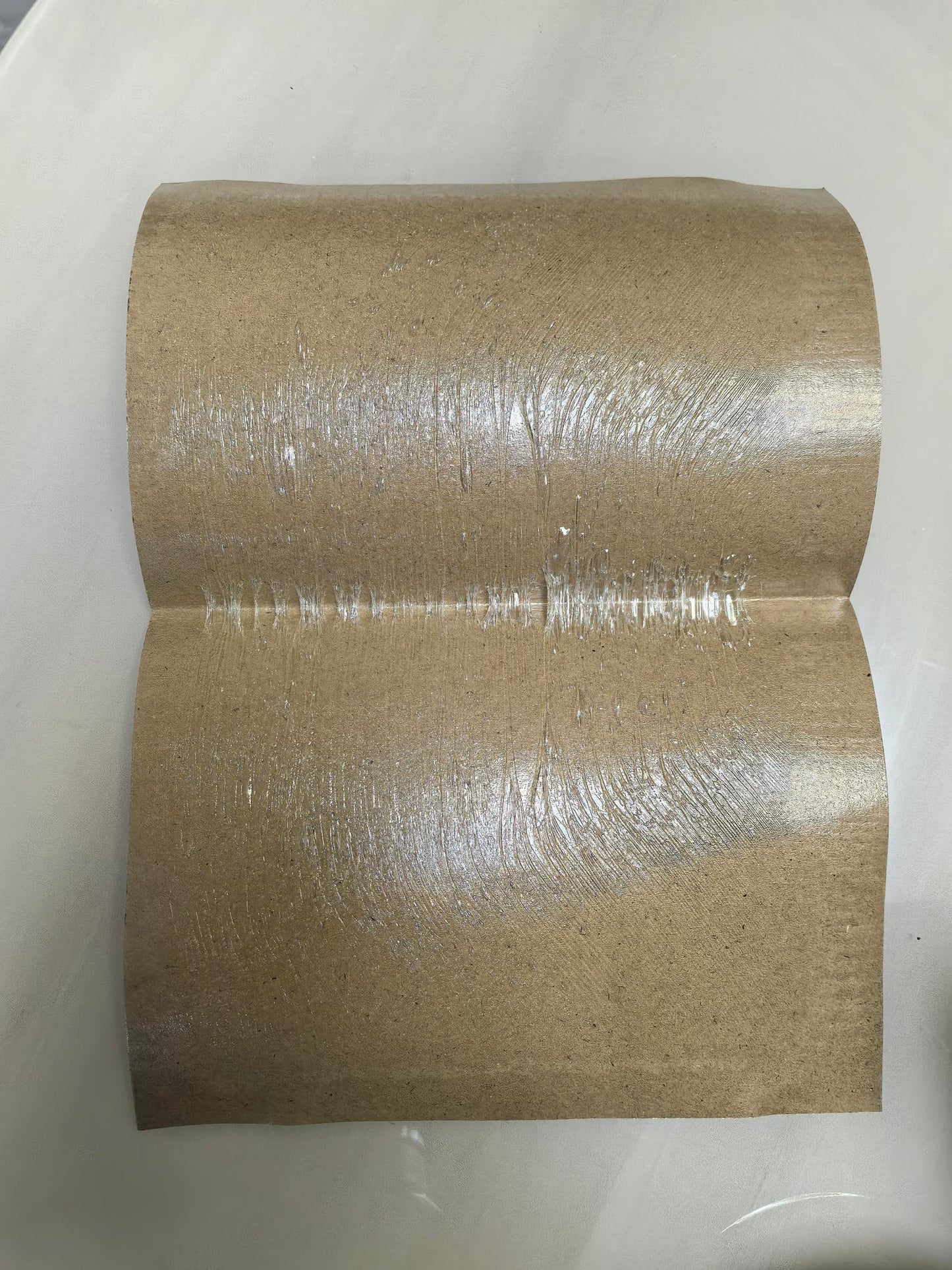 Vermigone Fly Paper 100 Pcs