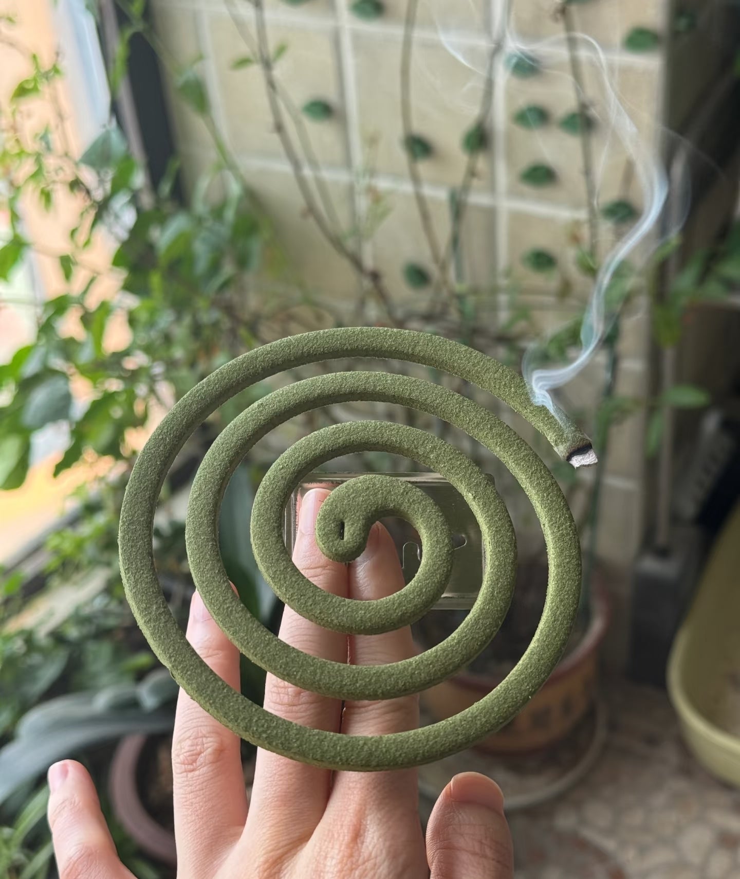 Vermigone Mosquito repellent coils