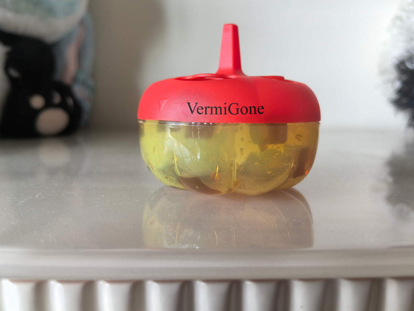 Vermigone Insect traps for Indoors + 180 Days of Lure Supply